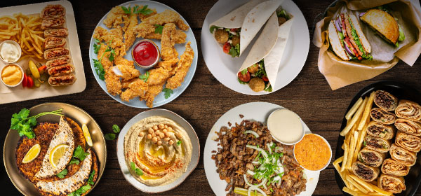 Mealzo Shawarma Palace
